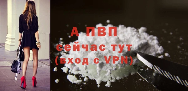 индика Касимов