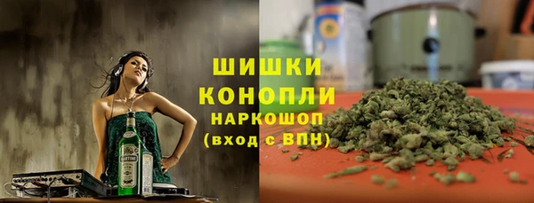 индика Касимов
