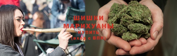 индика Касимов
