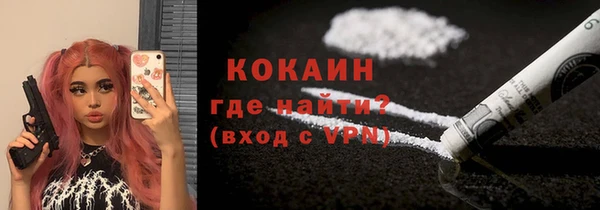 мдпв Каменногорск