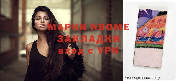 индика Касимов