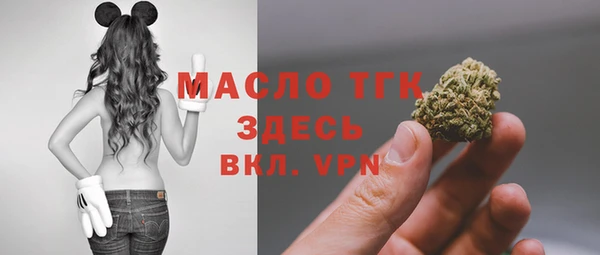 индика Касимов