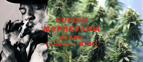 мдпв Каменногорск
