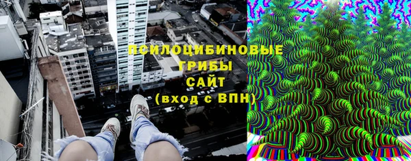 крисы Барнаул
