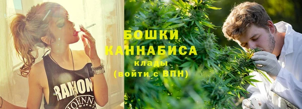 индика Касимов