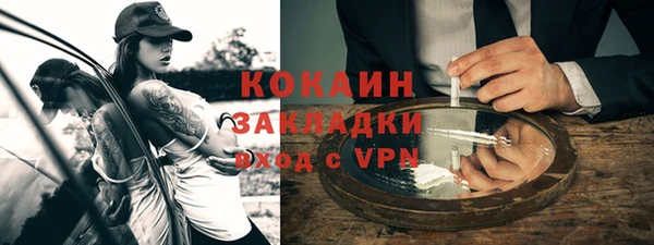 мдпв Каменногорск