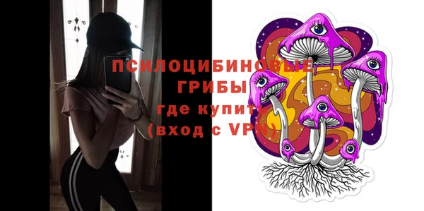 мдпв Каменногорск