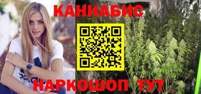 крисы Абакан