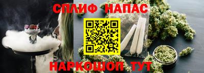 крисы Абакан