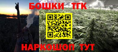 крисы Абакан
