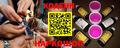 крисы Абакан