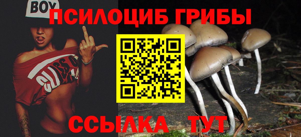 Псилоцибиновые грибы GOLDEN TEACHER  Вход с VPN  Галлюциногенные грибы мицелий  Сафоново 